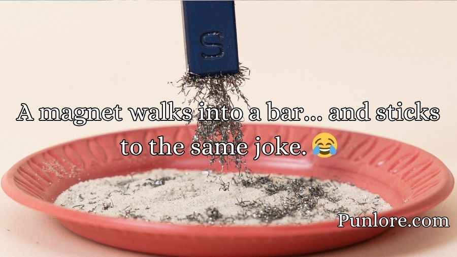 Magnet Puns