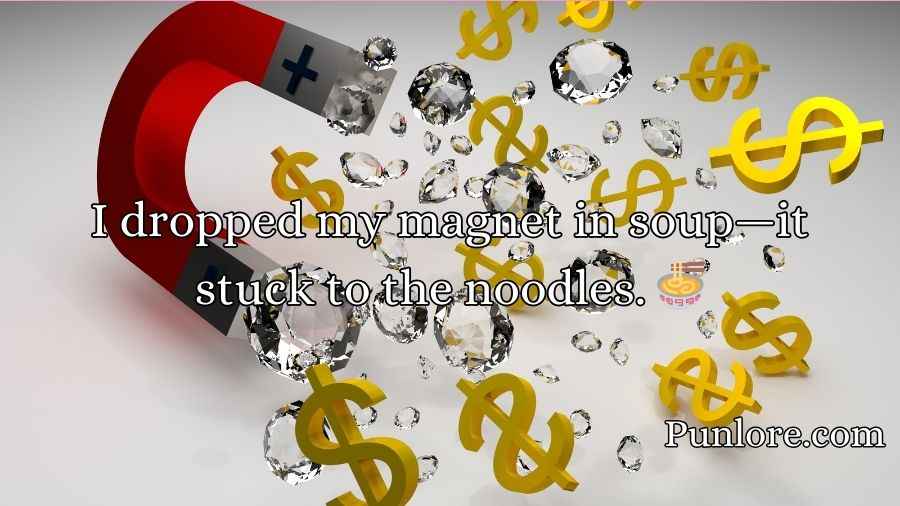 Magnet Puns