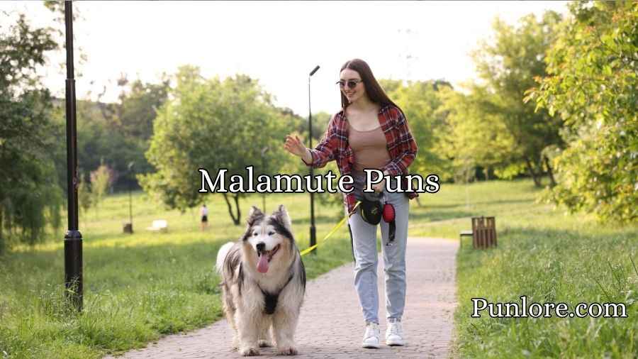 Malamute Puns