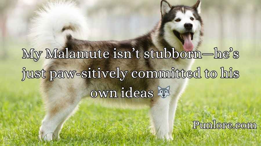 Malamute Puns