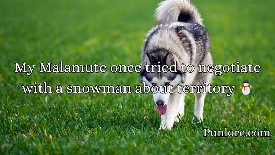 Malamute Puns
