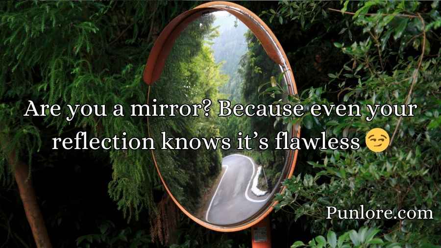 Mirror Pick Up Lines