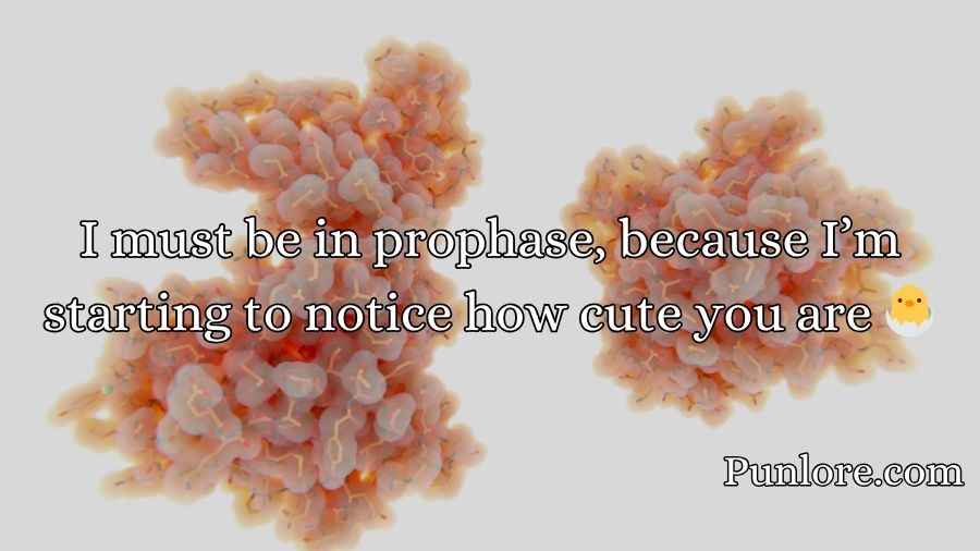 Mitosis Pick Up Lines