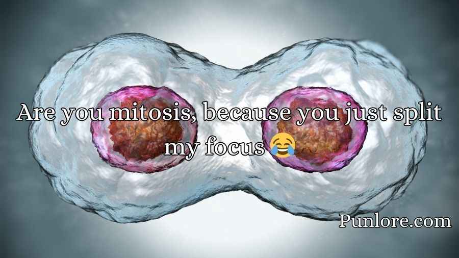 Mitosis Pick Up Lines