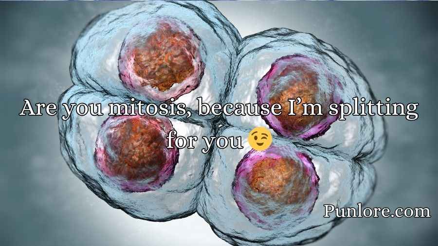 Mitosis Pick Up Lines