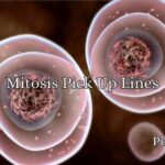 Mitosis Pick Up Lines
