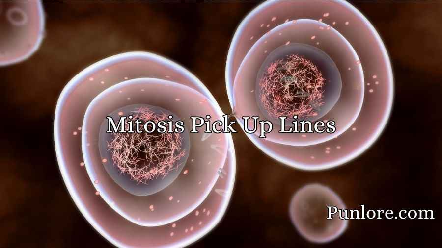 Mitosis Pick Up Lines