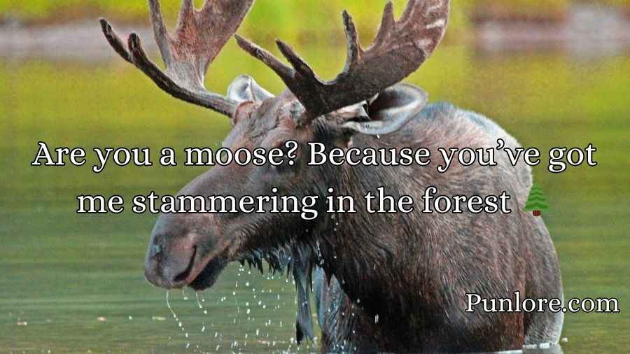 Moose Pickup Lines