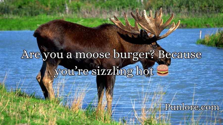 Moose Pickup Lines