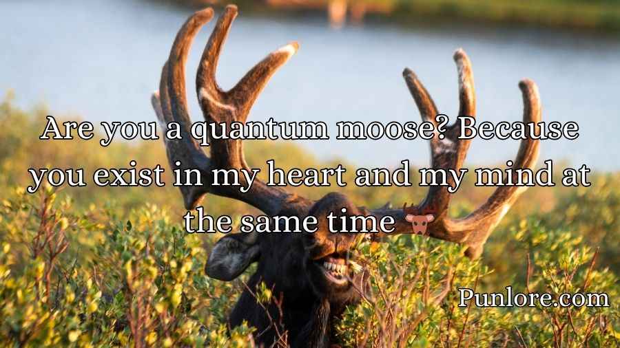 Moose Pickup Lines