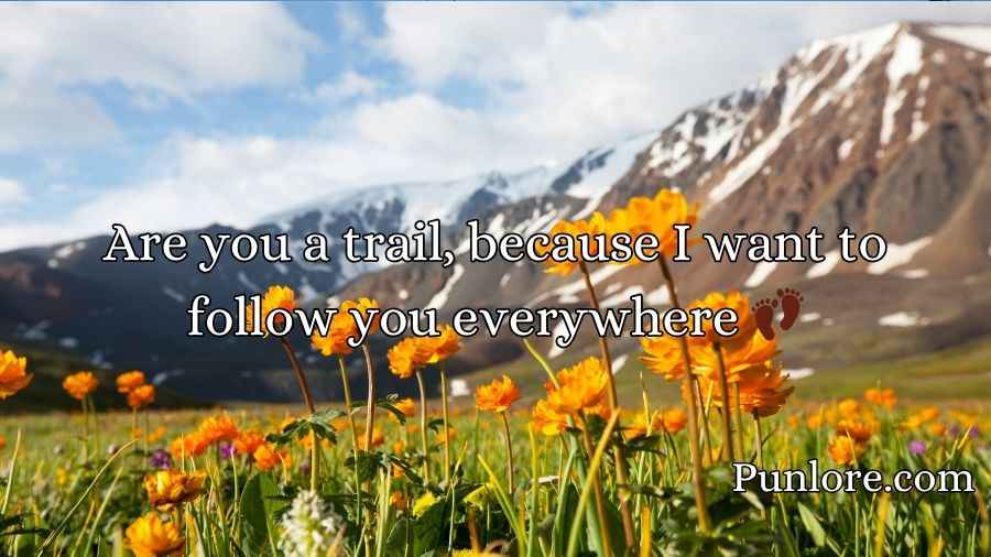 Mountain Pickup Lines