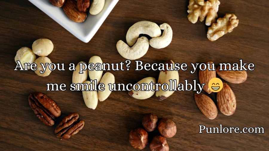 Nuts Pickup Lines