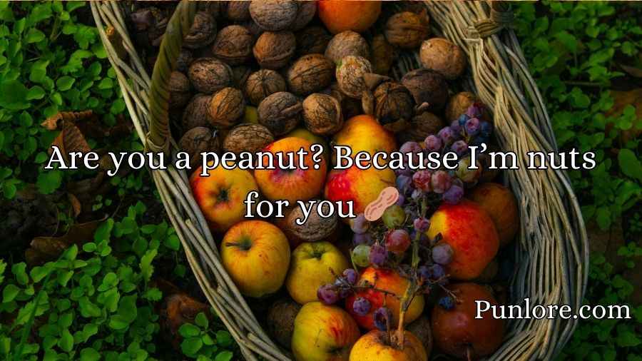 Nuts Pickup Lines