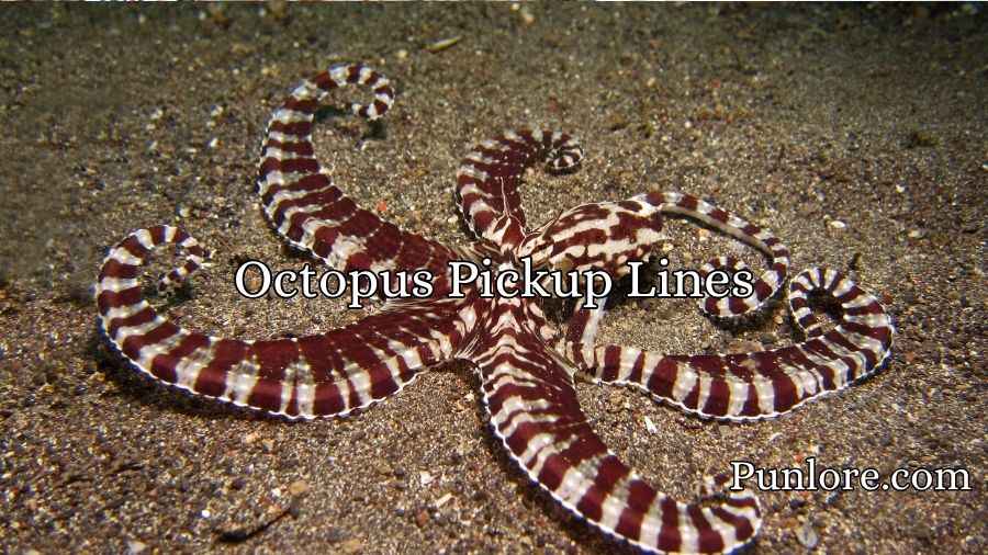 Octopus Pickup Lines