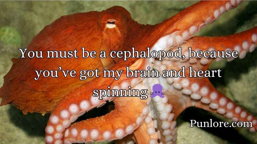 Octopus Pickup Lines
