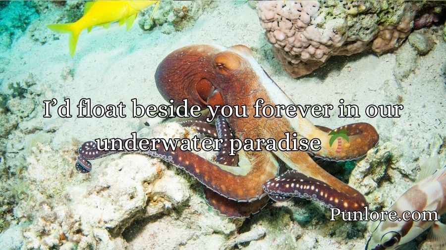 Octopus Pickup Lines