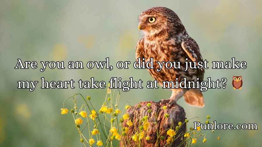 Owl Pick Up Lines