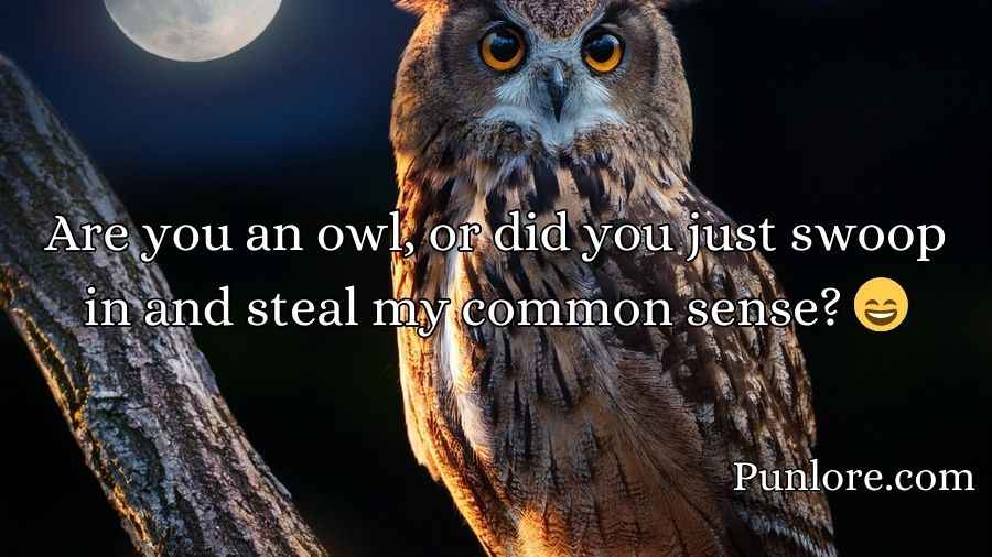 Owl Pick Up Lines