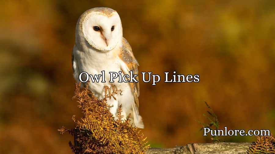 Best Owl Pick Up Lines
