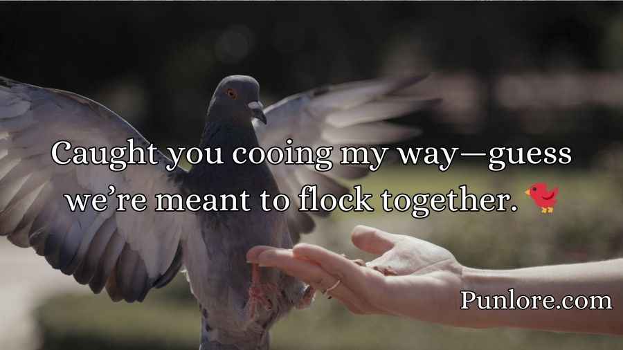 Pigeon Pickup Lines