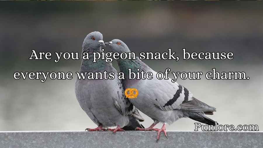 Pigeon Pickup Lines