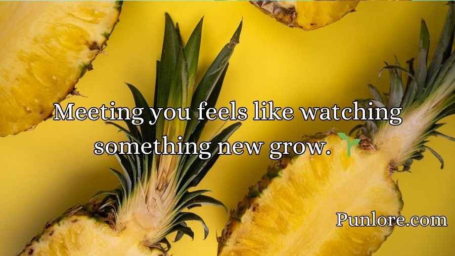 Pineapple Pick Up Lines