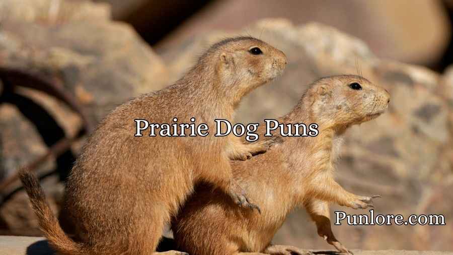 Prairie Dog Puns