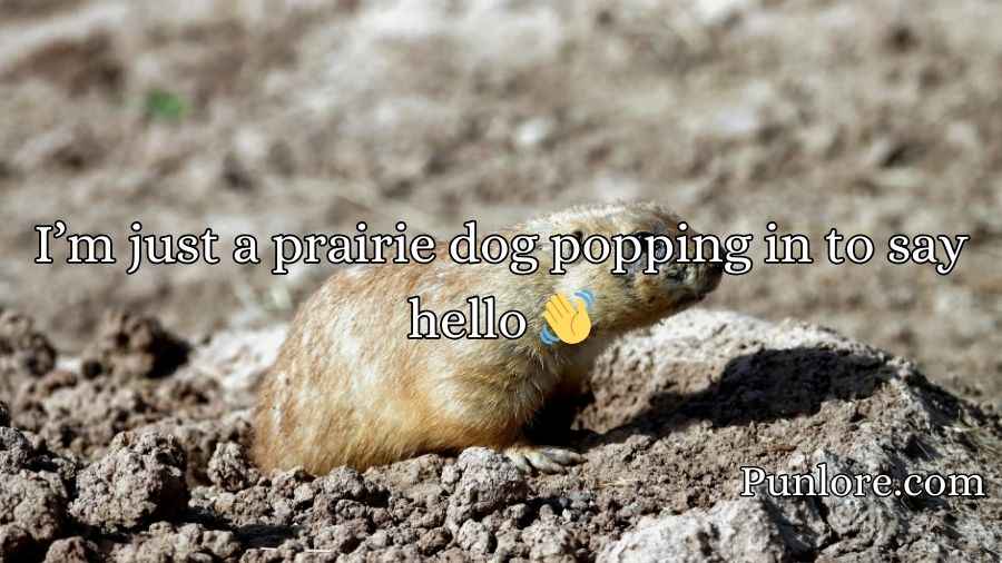 Prairie Dog Puns