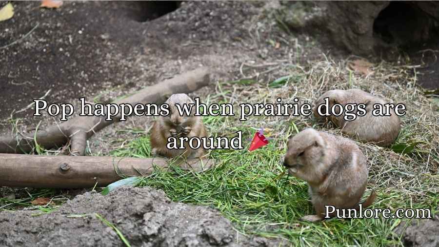 Prairie Dog Puns