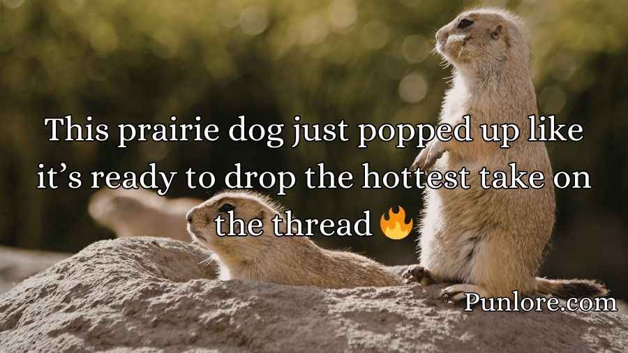 Prairie Dog Puns