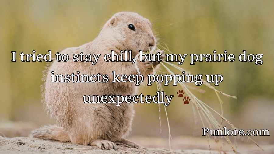 Prairie Dog Puns