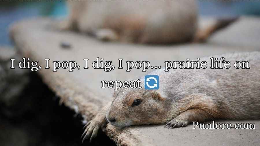 Prairie Dog Puns