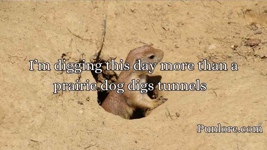 Prairie Dog Puns