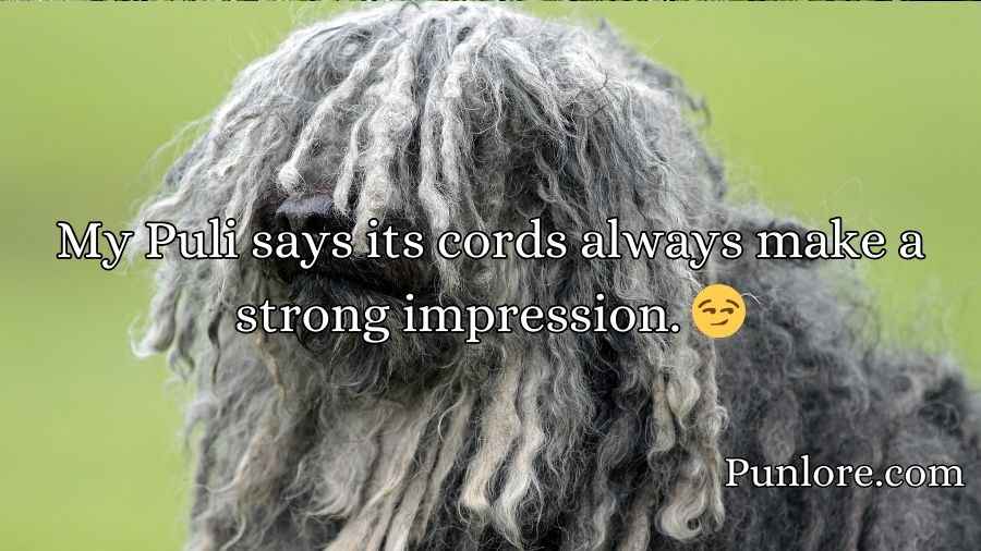 Puli Puns