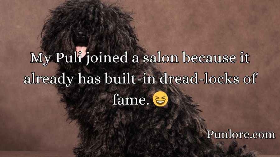 Puli Puns