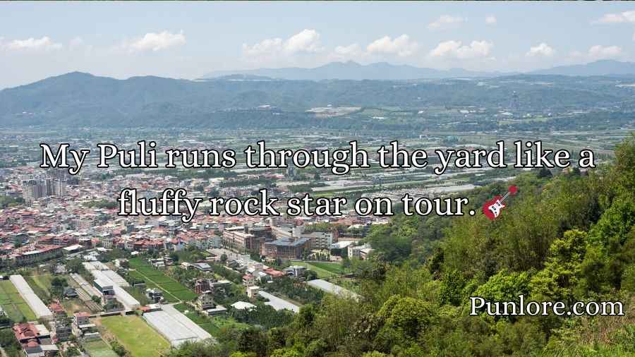 Puli Puns