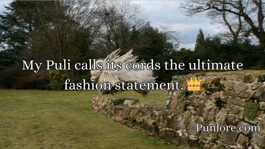 Puli Puns