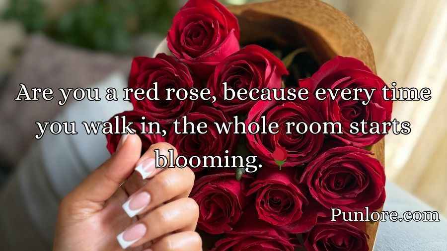 Red Roses Pick Up Lines