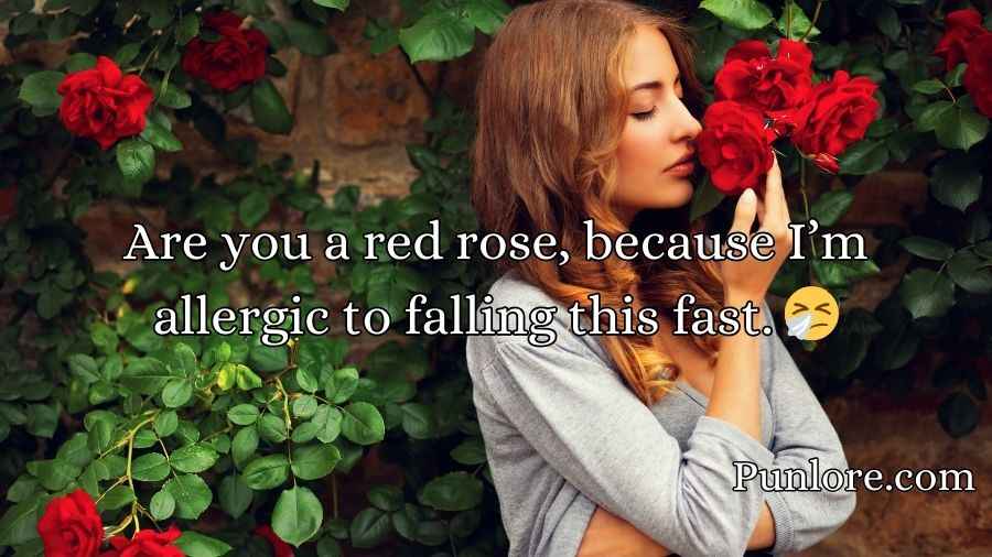 Red Roses Pick Up Lines