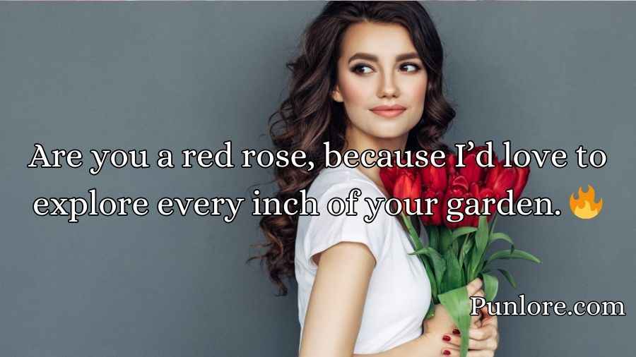 Red Roses Pick Up Lines