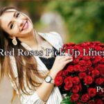 Red Roses Pick Up Lines