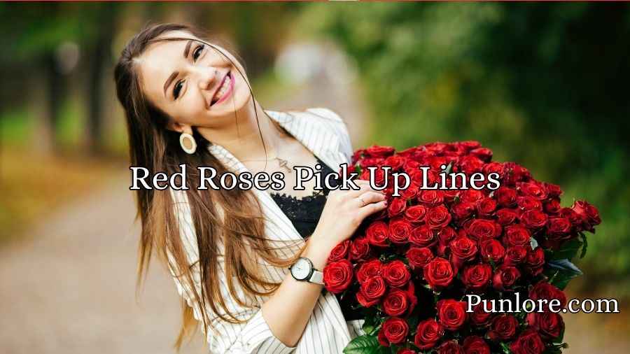 Red Roses Pick Up Lines