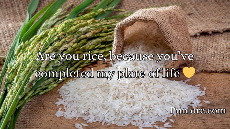 Rice Pick Up Lines