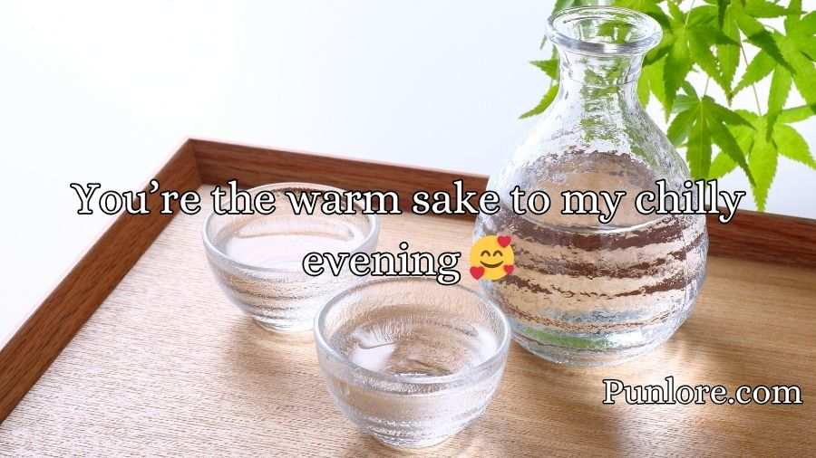Sake Pickup Lines