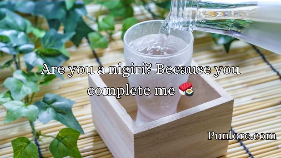 Sake Pickup Lines