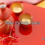 Sake Pickup Lines
