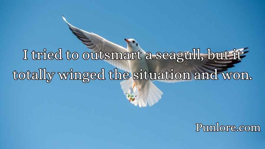 Seagull Puns