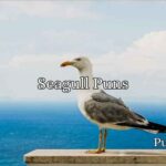 Seagull Puns