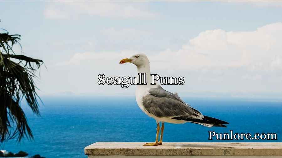 Seagull Puns