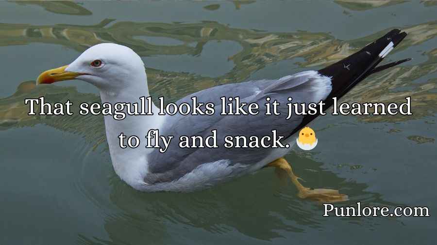 Seagull Puns
